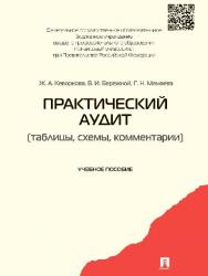 Практический аудит (таблицы, схемы, комментарии) ISBN 978-5-392-13566-0