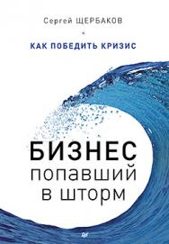 Бизнес, попавший в шторм. Как победить кризис ISBN 978-5-496-01973-6